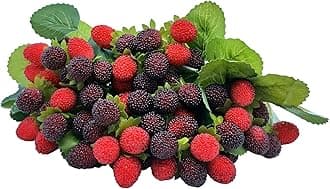 M2cbridge 4PCS Artificial Raspberry Red Berry Strawberry Faux Fruit BlackBerry Props Table Decoration (Red with Black)