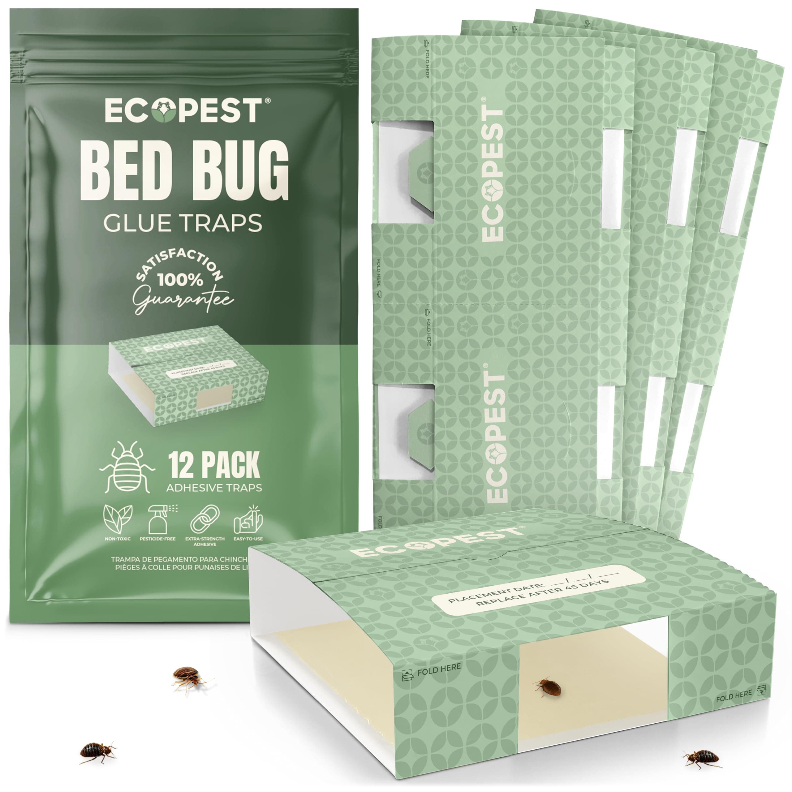Bed Bug Glue Traps