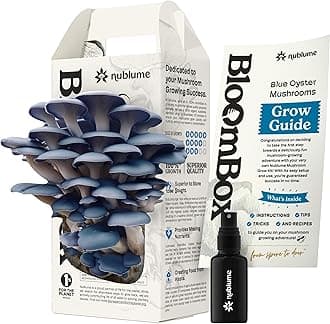 BloomBox Blue Oyster Mushroom Grow Kit – Ready to Fruit Indoor Gardening Gift – Organic Spawn Log for Fresh Fungi in 10 Days – Unique DIY STEM Science Project for Kids & Adults – Vegan Meat Substitute
