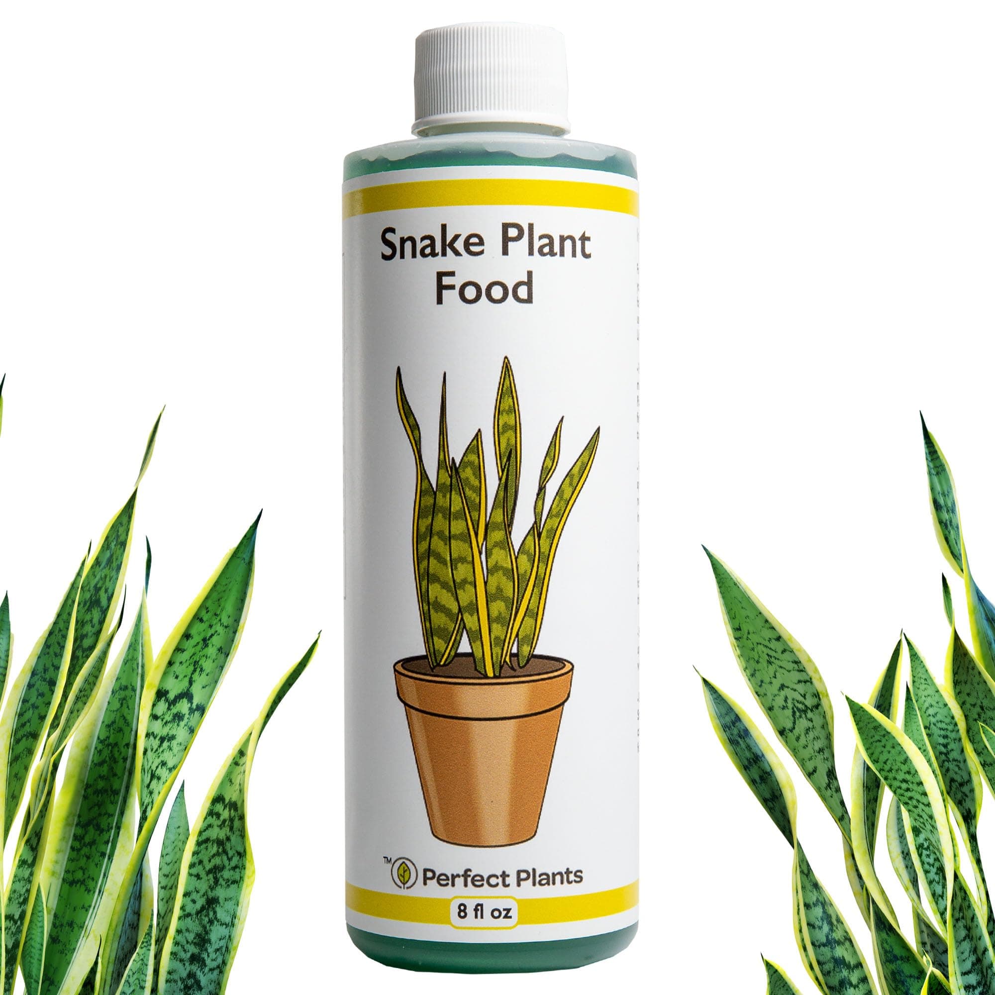 Perfect Plants Liquid Snake Plant Fertilizer | 8oz. of Premium Concentrated Sansevieria Food | Use with Mother-in-Laws Tongue and Other Varieties
