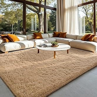 HOMORE Light Tan Rugs for Living Room, Shag Rug 5x7 Fluffy Area Rug for Bedroom, Modern Non Slip Carpet for Liivng Room, Cute Rugs and Carpets for Kids Nursery Home Dorm Decor