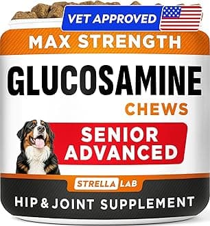 Senior Advanced Glucosamine Chondroitin Joint Supplement for Dogs - Hip & Joint Pain Relief Pills - Large & Small Breed - Hip Joint Chews Canine Joint Health - Chews Older Dogs - Chicken Flavor-120Ct