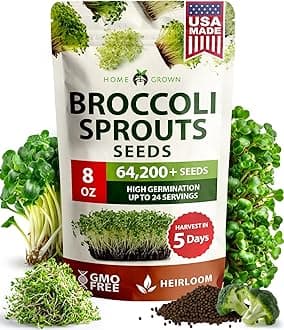 Broccoli Seeds 8 oz Bulk Heirloom Non-GMO, High Germination, Sulforaphane Rich Sprouting Seeds, Nutritious Microgreens, Healthy Sprouts in 5 Days, Superfood Boost (Brassica oleracea)