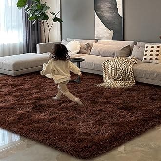 HOMORE Brown Living Room Rug, 4x6 Feet Fluffy Area Rug Modern Shag Rugs for Bedroom Dorm Super Soft and Comfy Carpet, Cute Carpets for Kids Nursery Girls Home Decor, Chocolate