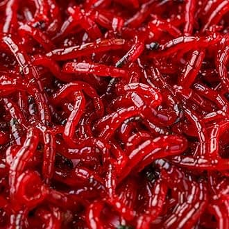 Aquacadabra Live Bloodworm Food for Tropical Fish 140ml Pack x 3 Bags of Live Fish Food
