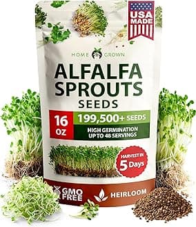 HOME GROWN Non GMO Alfalfa Sprout Seeds 16oz Bulk Pack with Thousands of Seeds Alfalfa for Sprouting & Microgreens Indoor Outdoor Growing Resealable Bag High Germination