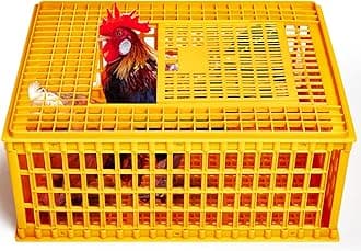 Poultry Carrier Crate Plastic Chicken Transport Cage Heavy Duty Chicken Crates and Cages Poultry Carrier Basket Box for Bird Duck Goose 13 Adult Chickens, 29.5 x 21.7 x 13 Inch