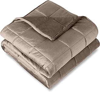 Bare Home Weighted Blanket Queen Size 17lb (60" x 80") for Adults - Minky Fleece - Premium Heavy Blanket Nontoxic Glass Beads (Taupe, 60"x80")