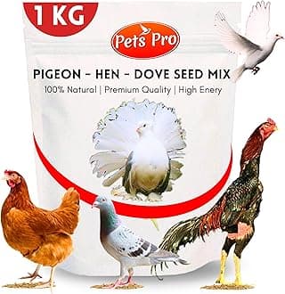 Generic Pets Pro Pigeon, Dove & Hen Food 1 KG | Specially Formulated with Multigrain & Seeds. High-Protein, Millet-Based Diet for Hen & Doves,All Life Stages