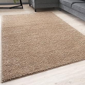 THE RUGS Living Room Rug - Shaggy Soft And Elegant Carpets For The Bedrooms And Kitchen, Easy To Clean, Many Different Sizes (80x300 cm, Beige)