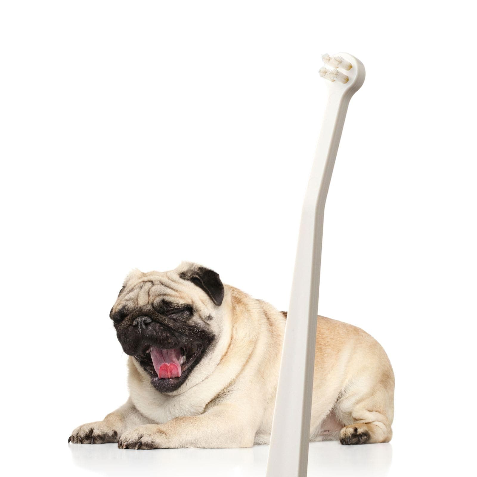 MIND UP Dog Toothbrush with Micro Head, 15° Angled Handle for Ultra-Small Dog...